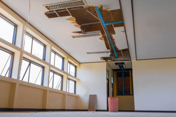 Best 24/7 water damage repair  in Texas City, TX
