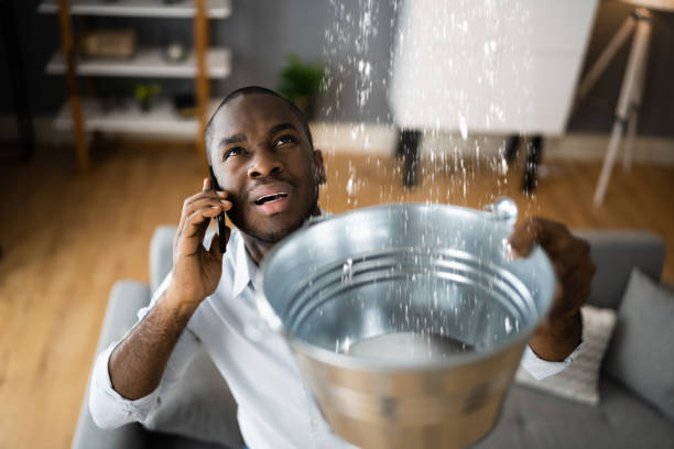 Best Professional water damage repair  in Texas City, TX