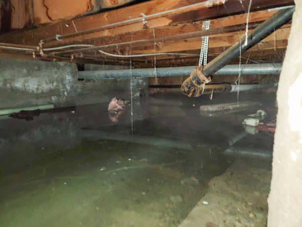 Best Water damage restoration near me  in Texas City, TX