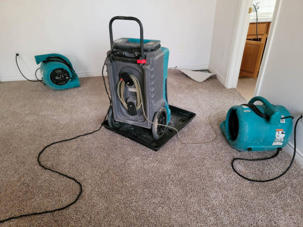 Best Water damage contractors near me  in Texas City, TX