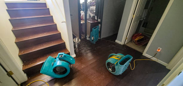 Water damage restoration insurance claims in Texas City, TX