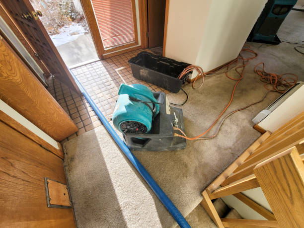 Best Sewage cleanup and water damage restoration  in Texas City, TX