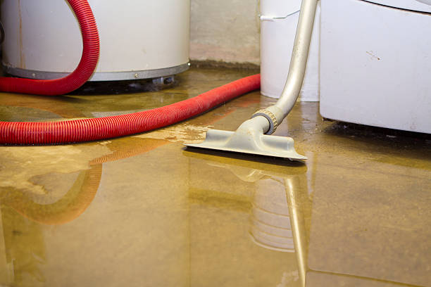 Best Water damage restoration near me  in Texas City, TX
