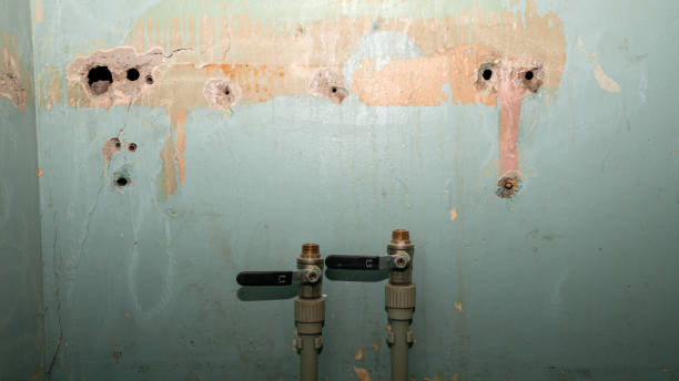 Best Water damage contractors near me  in Texas City, TX