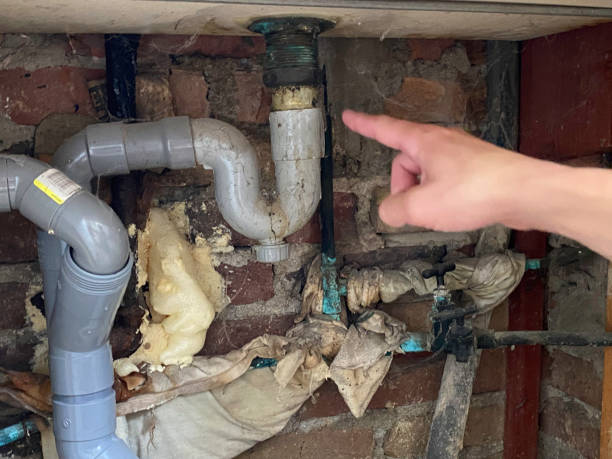 Best Mold removal after water damage  in Texas City, TX